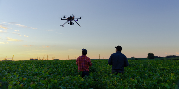 Drone Pilots flying a drone